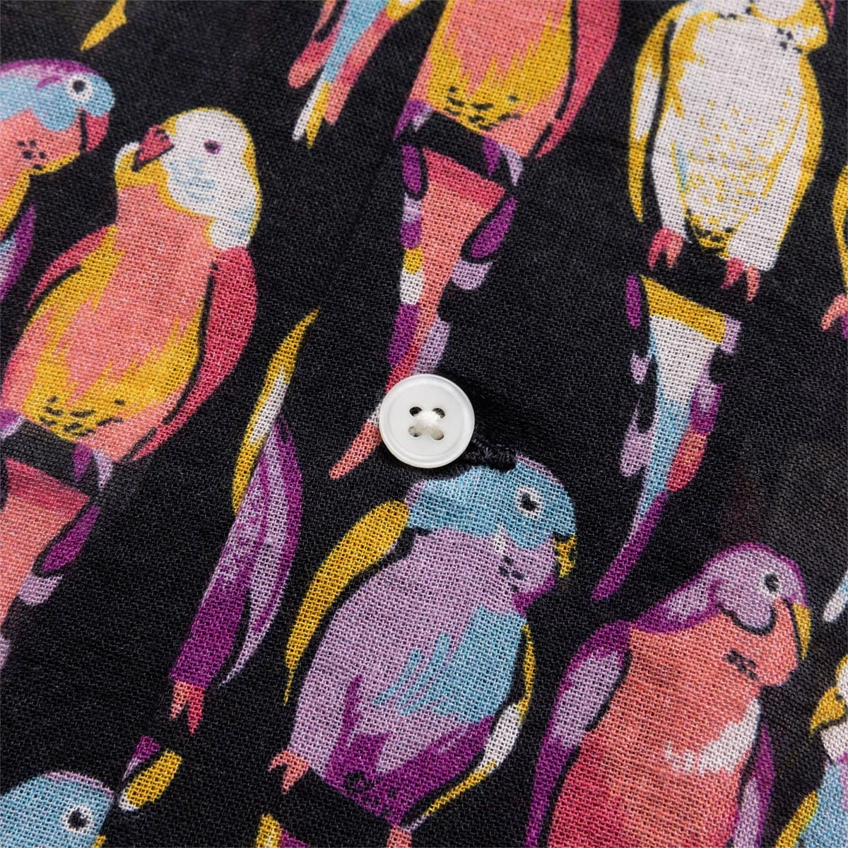 PARAKEET S/S SHIRT 7 PARAKEET S/S SHIRT - Image 5