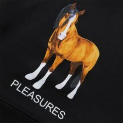 Pleasures DEATH HOODIE -Jordan Store pleasuresDEATHHOODIEBLACKSP22F049 3